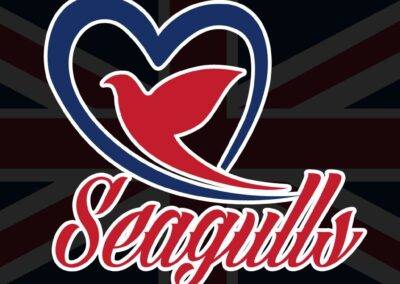 تطبيق seagulls taxi شبية اوبر — من أرشيف أعمال شركة مرحبا للبرمجة