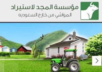 تصميم ووردبريس - مؤسسة المجد للاستراد والتصدير — من أرشيف أعمال شركة مرحبا للبرمجة