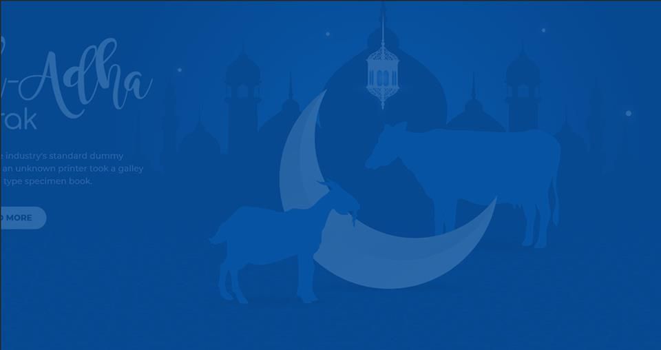 تصميم تطبيقات للذبائح