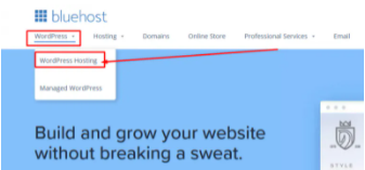 حجز الاستضافة